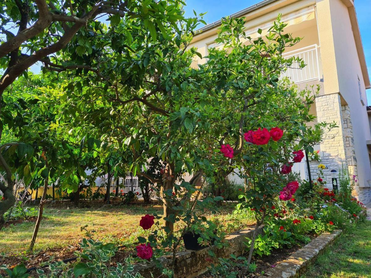 Apartments & Rooms Tom Medulin Ngoại thất bức ảnh